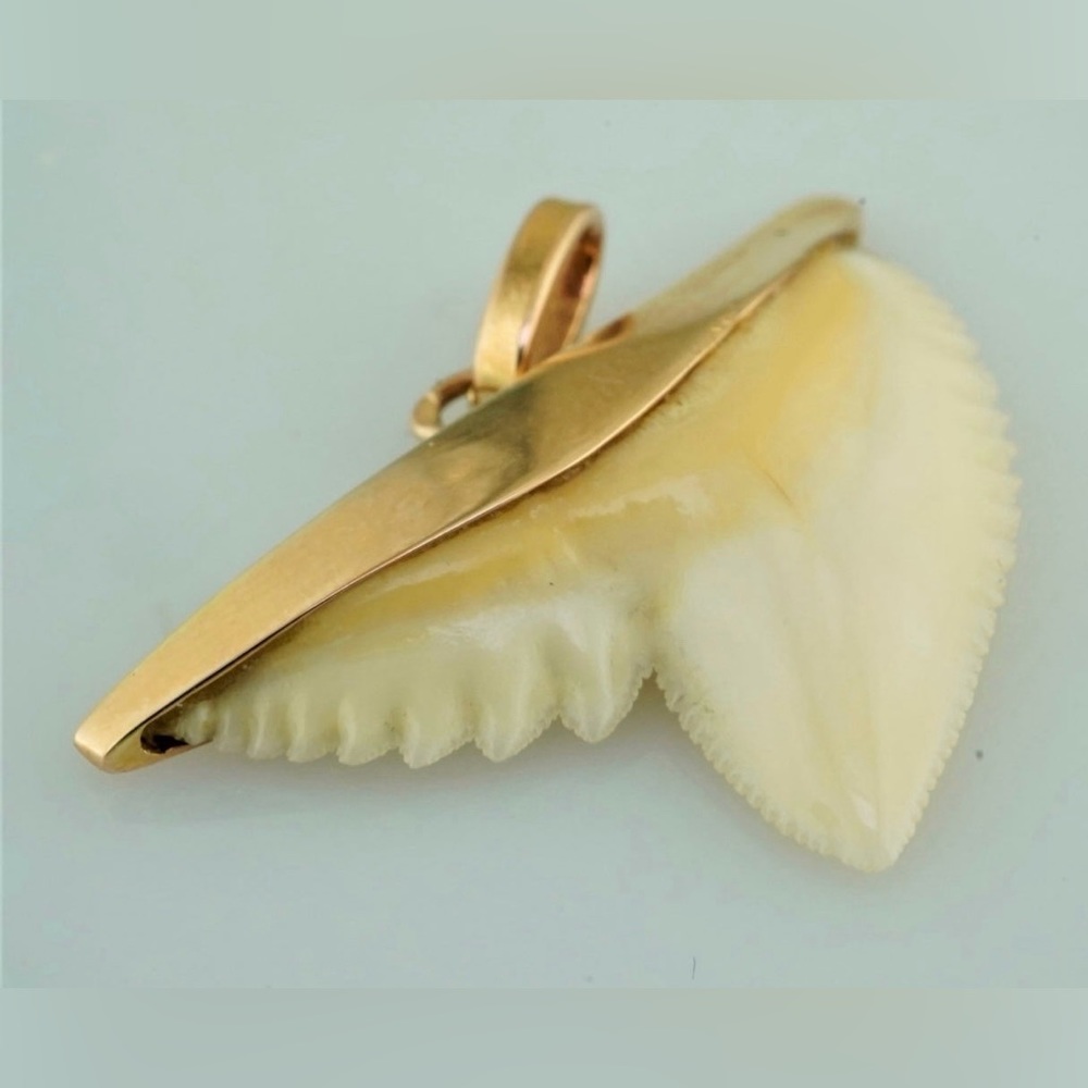 14k shark tooth pendant